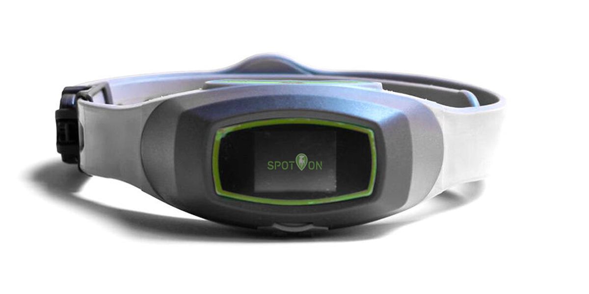 GPS Equipped Dog Collar